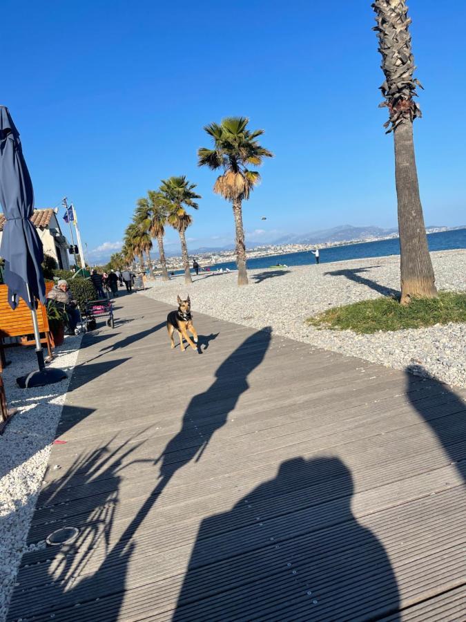 Villeneuve Loubet Plage- Entre Nice Et Cannes Extérieur photo