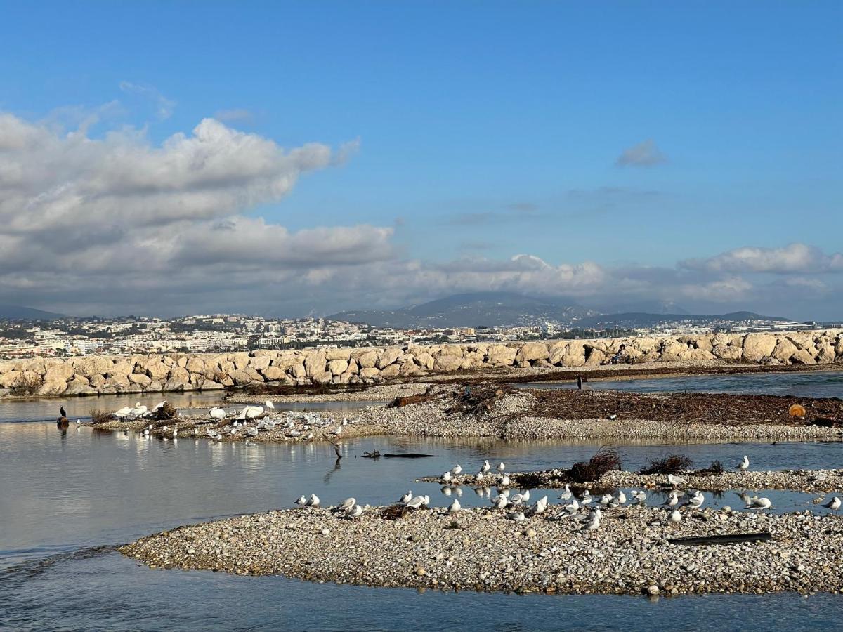 Villeneuve Loubet Plage- Entre Nice Et Cannes Extérieur photo