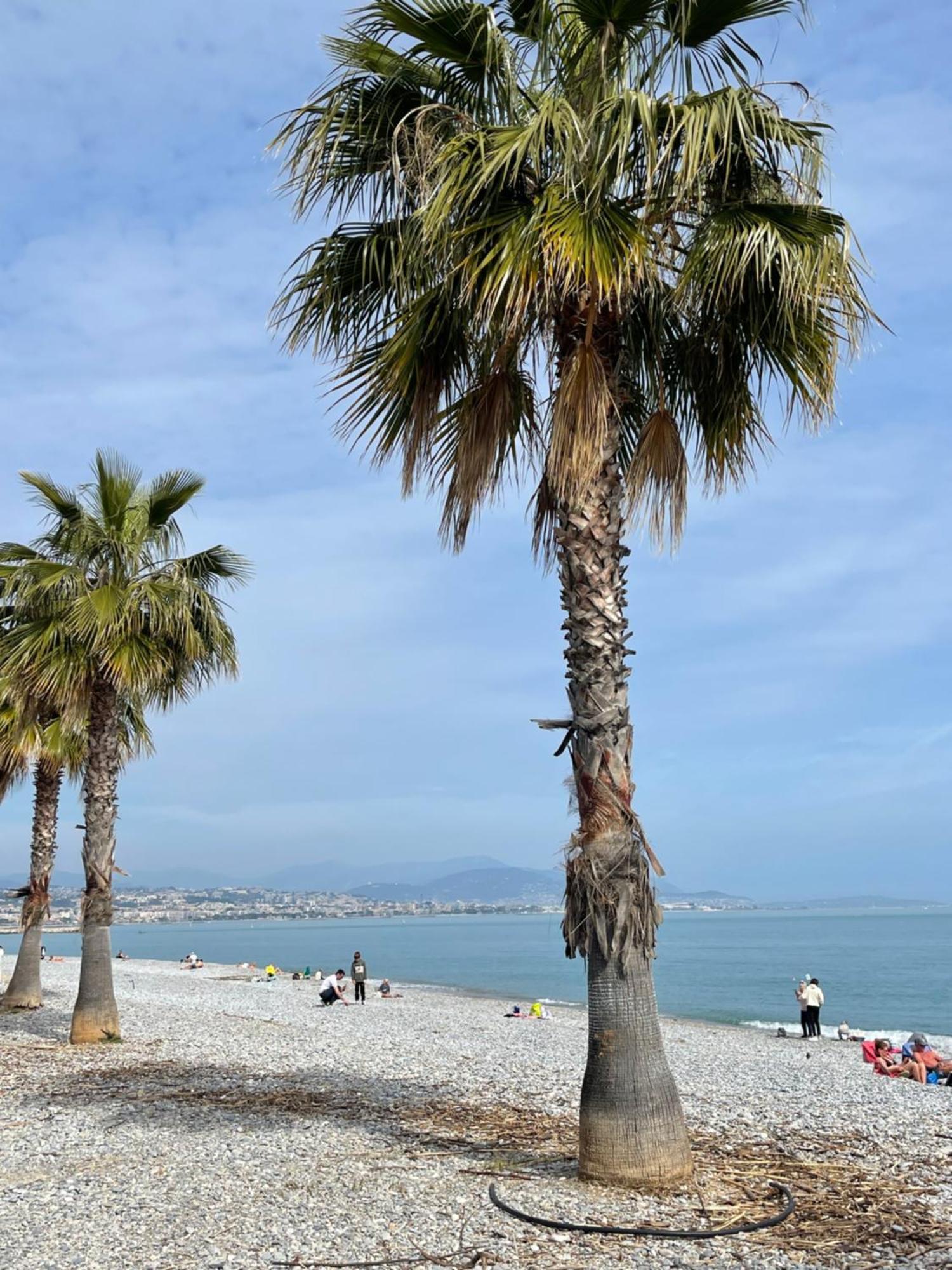 Villeneuve Loubet Plage- Entre Nice Et Cannes Extérieur photo