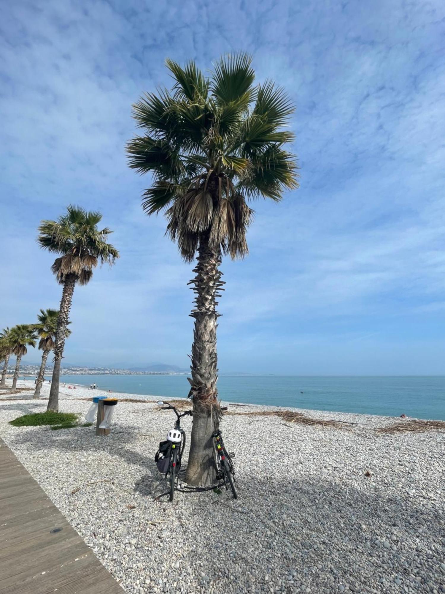 Villeneuve Loubet Plage- Entre Nice Et Cannes Extérieur photo