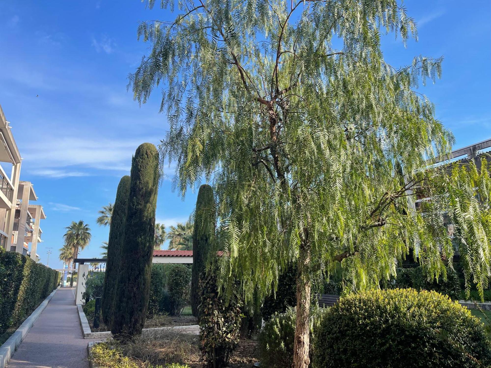 Villeneuve Loubet Plage- Entre Nice Et Cannes Extérieur photo