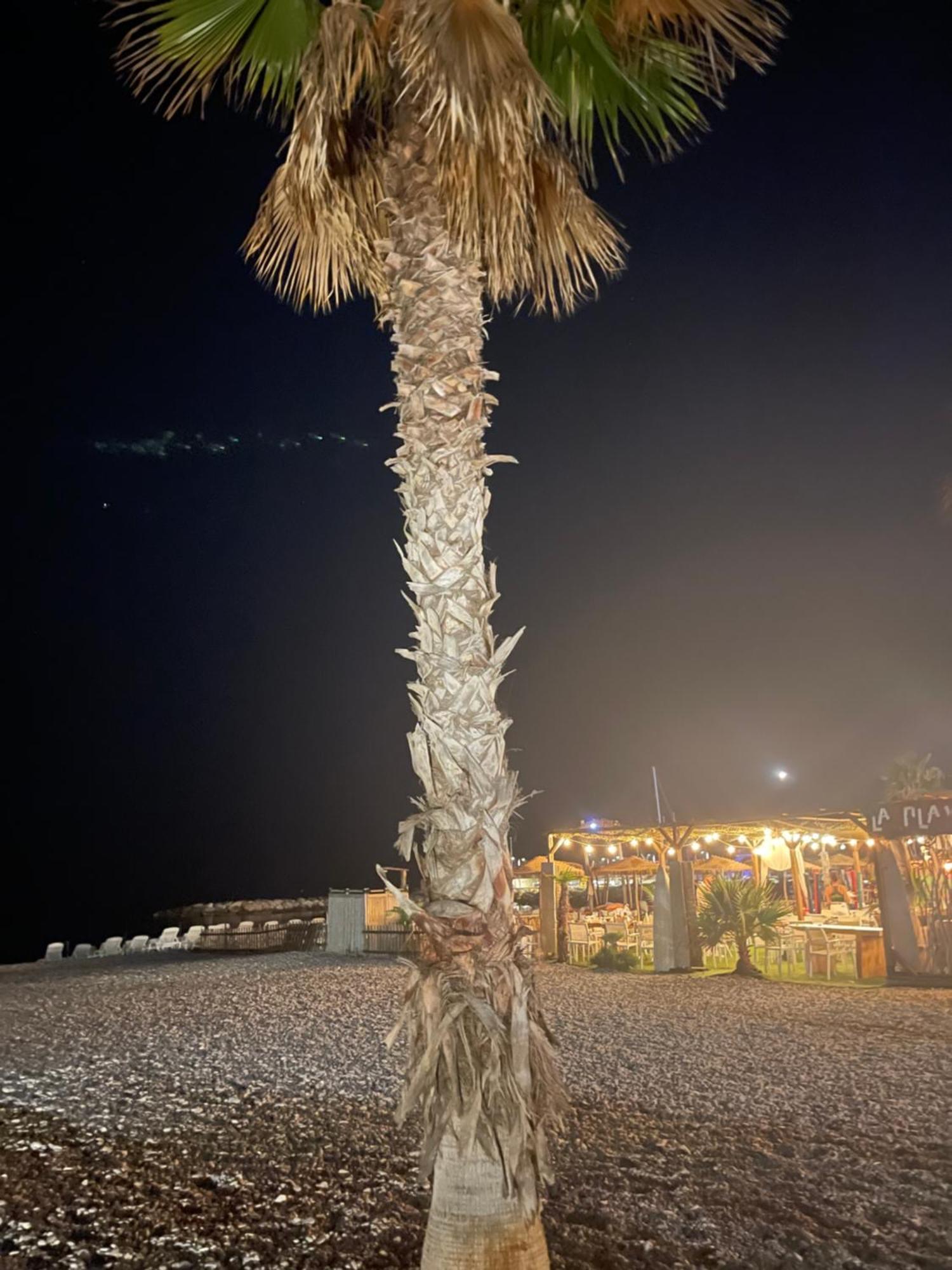 Villeneuve Loubet Plage- Entre Nice Et Cannes Extérieur photo
